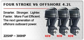 V6
